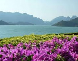 Visit Khao Sok National Park, Thailand