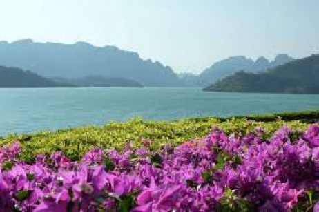 Visit Khao Sok National Park, Thailand