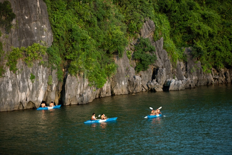 azalea-kayak